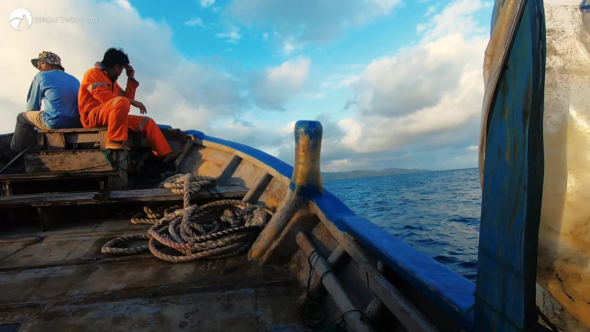 Faluwa Boat Ride